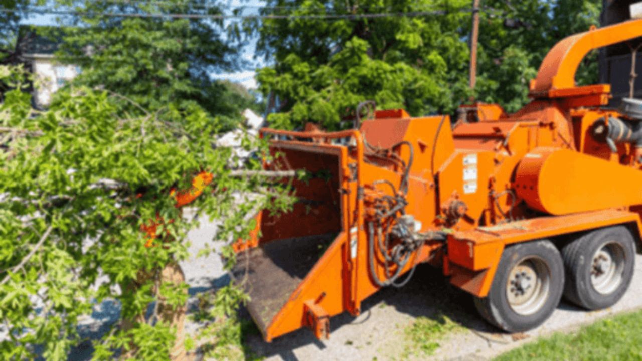 Leaf Shredder Wood Chipper: How to Turn Yard Waste into Mulch Fast