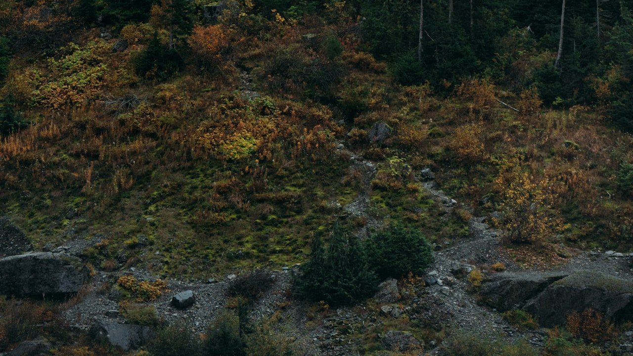 Things to Consider When Looking at An Electric Pressure Washer