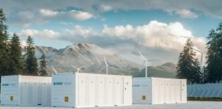 Digital Cloud Manager for Energy Storage: Enhancing Adaptability and Convenience