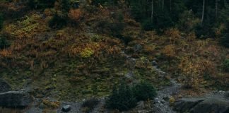 Things to Consider When Looking at An Electric Pressure Washer